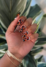Luxe Shell